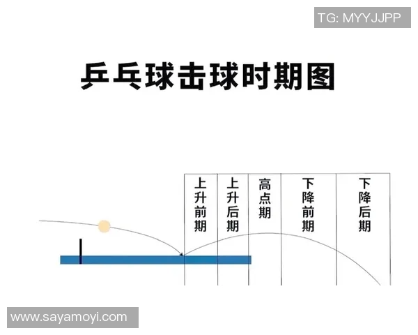 广州乒乓球队在锦标赛中的节奏掌控与表现分析
